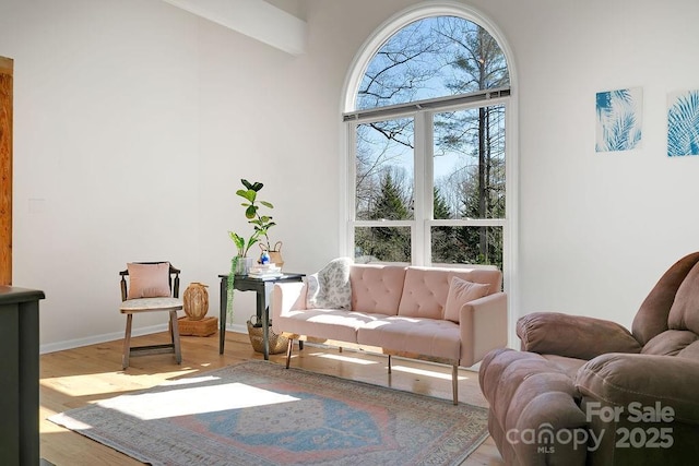 living area with baseboards and wood finished floors