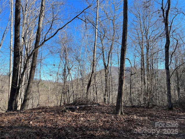 view of nature with a wooded view