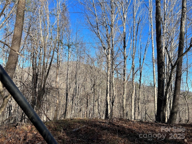 view of local wilderness featuring a view of trees