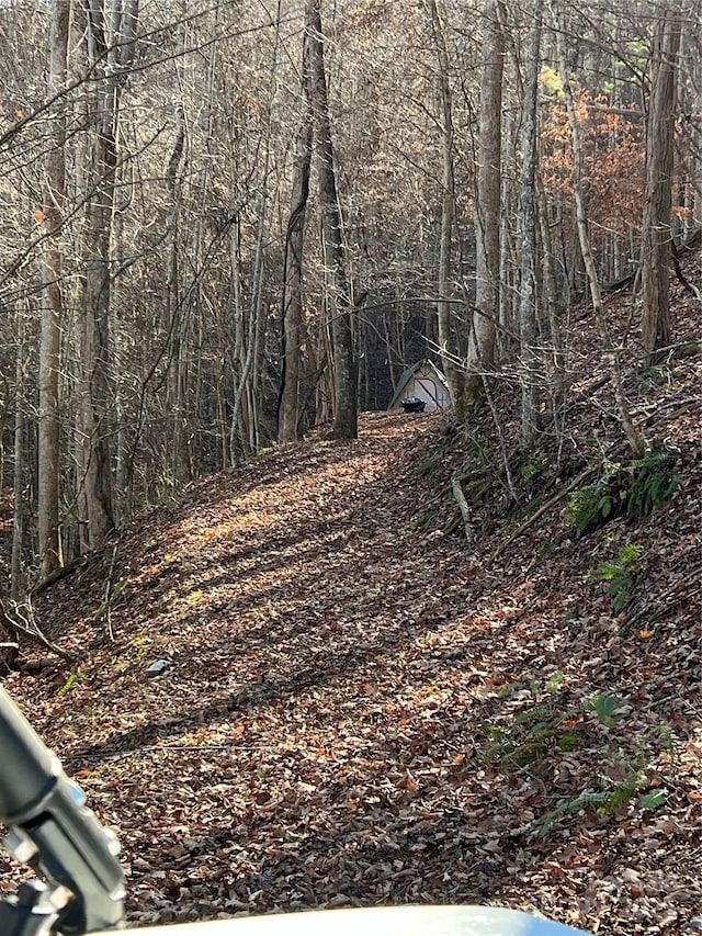 view of local wilderness