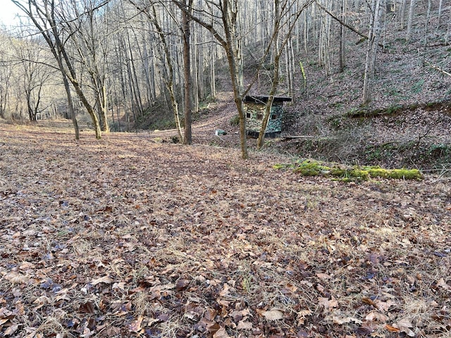 view of landscape featuring a wooded view