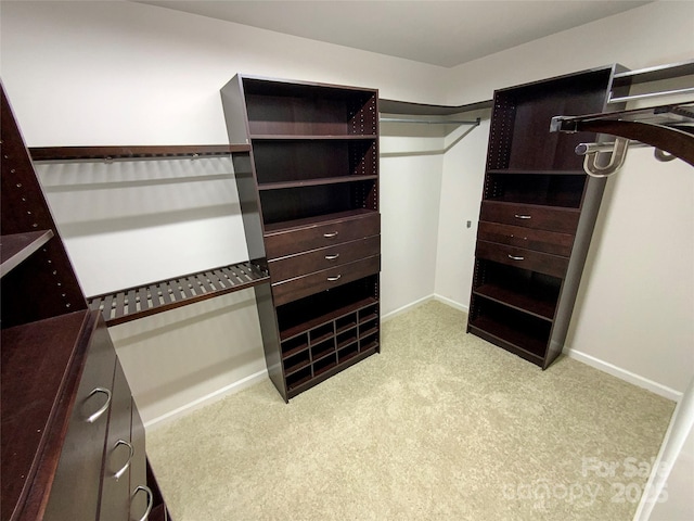 walk in closet with light carpet