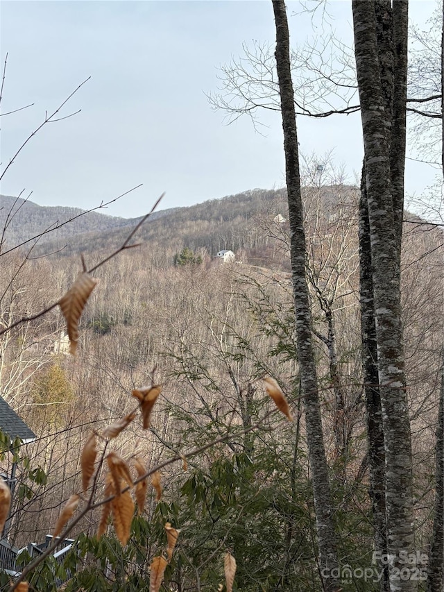 Listing photo 2 for 000 Spruce Flats Rd, Maggie Valley NC 28751