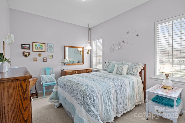 bedroom with baseboards and carpet floors