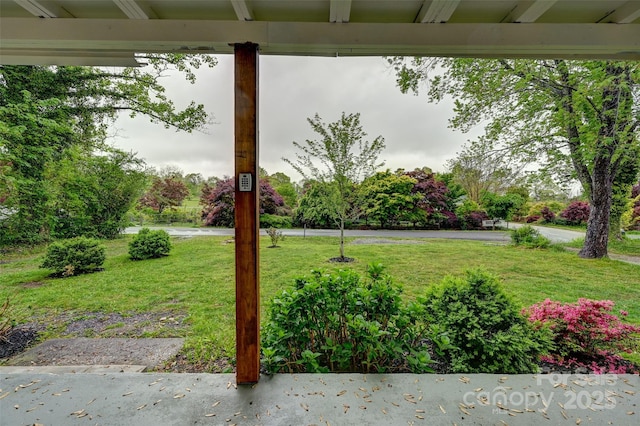 110 Maplewood Knoll Dr, East Flat Rock, NC 28726 - view of yard