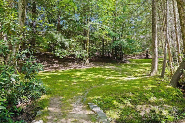 view of yard featuring a forest view