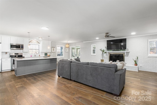 living room with a ceiling fan, brick wall, dark wood finished floors, a fireplace, and crown molding