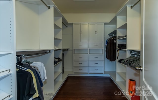 246 Sweet Briar Dr, Fort Mill, SC 29707 - spacious closet featuring dark wood finished floors