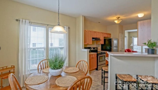 view of dining area