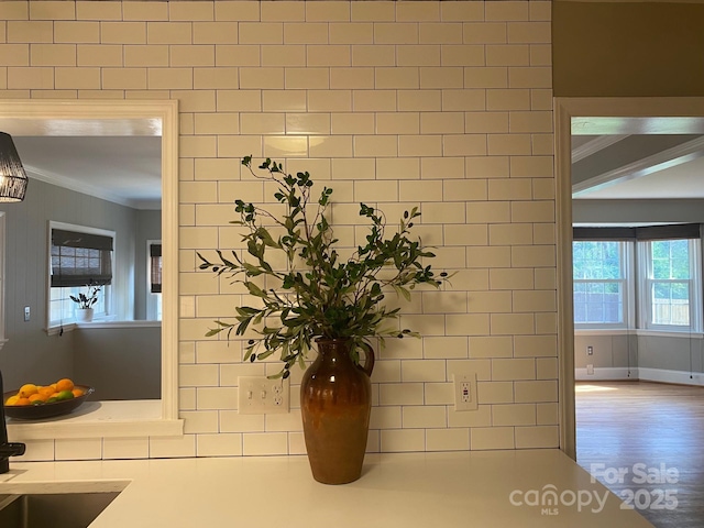 details with crown molding and wood finished floors