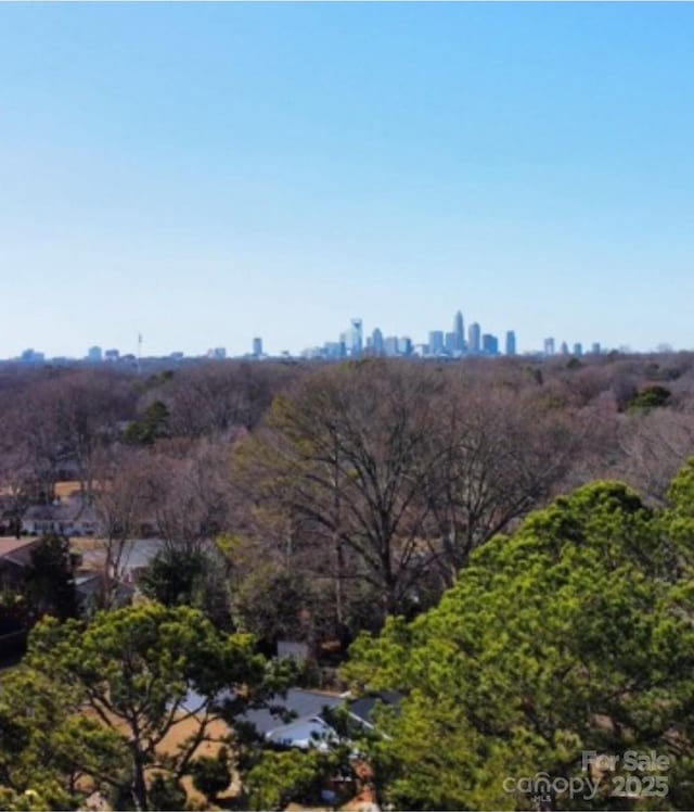 bird's eye view featuring a city view