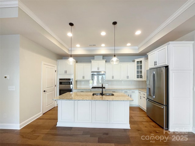 kitchen with a sink, a raised ceiling, dark wood-style flooring, and stainless steel appliances