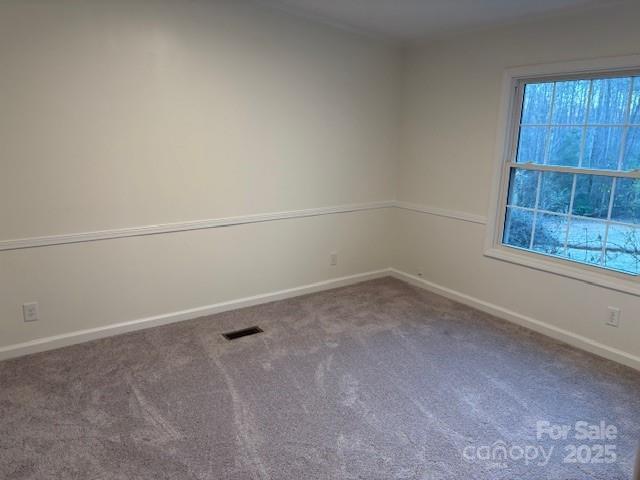 carpeted empty room with visible vents, plenty of natural light, and baseboards