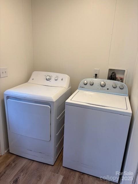 laundry area featuring wood finished floors and washing machine and dryer