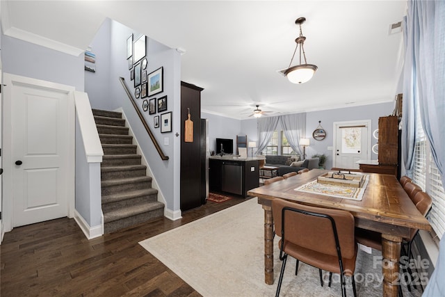 dining room featuring visible vents, ornamental molding, dark wood finished floors, stairway, and ceiling fan
