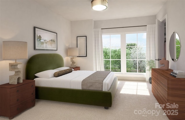 1011 Carter Ave Unit 35, Charlotte, NC 28206 - view of carpeted bedroom