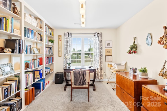 view of carpeted office