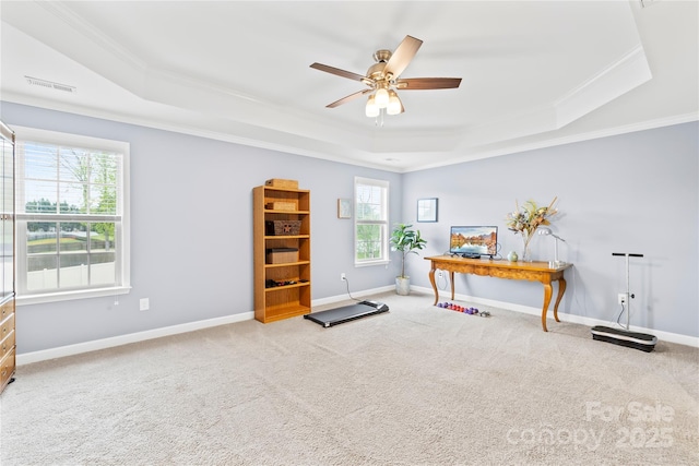 interior space with ornamental molding, a raised ceiling, and carpet