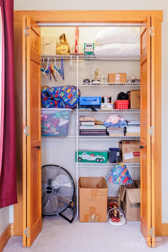 view of closet