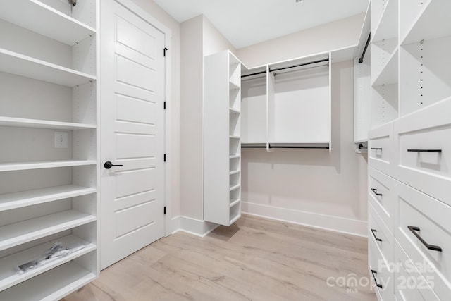 spacious closet with light wood-type flooring