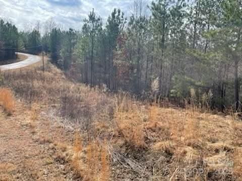 00 Creekside Cir Unit 94, Rutherfordton NC, 28139 land for sale