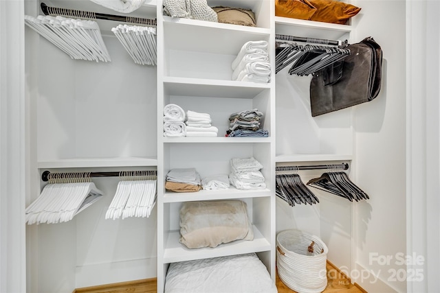 view of spacious closet