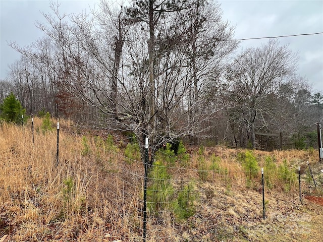 view of yard with a view of trees