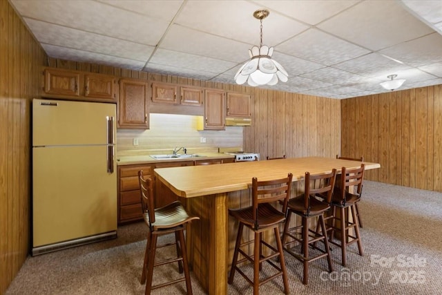 kitchen with wood walls, freestanding refrigerator, dark colored carpet, and a sink