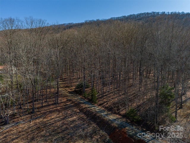 244 Noelle Dr, Burnsville NC, 28714 land for sale