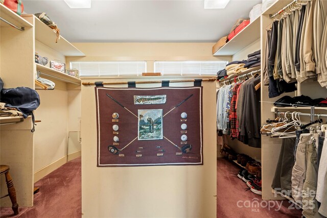 32 Fairway Rdg, Lake Wylie, SC 29710 - spacious closet featuring carpet flooring