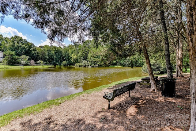 306 Ashby Dr, Davidson, NC 28036 - photo 25