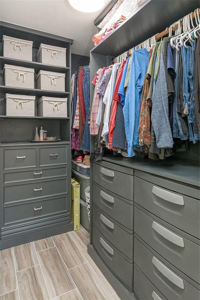 view of spacious closet