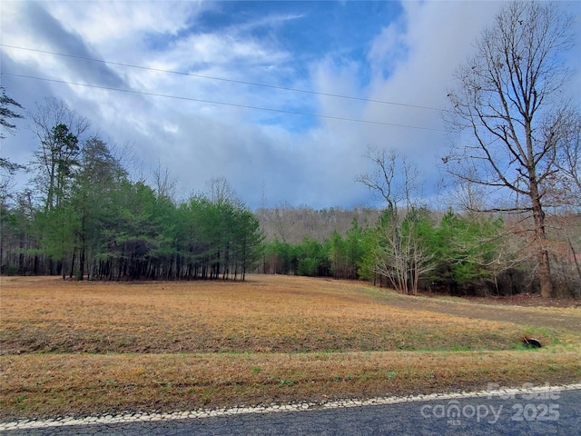 view of yard with a wooded view