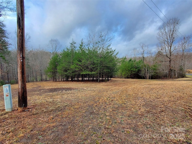 view of yard featuring a view of trees