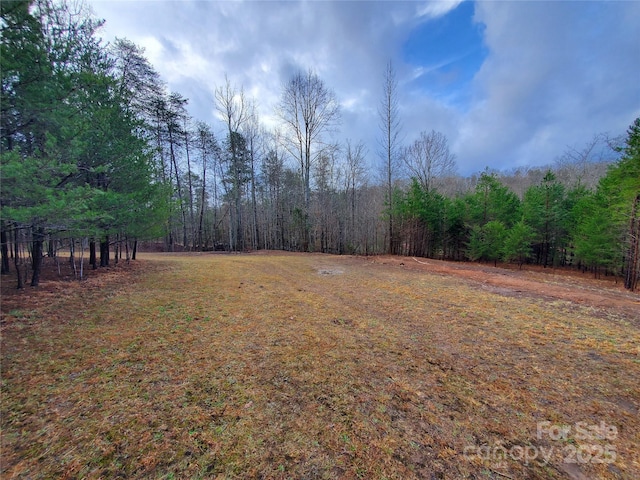 view of yard featuring a wooded view