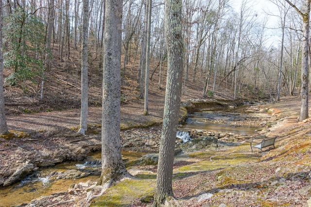 view of local wilderness