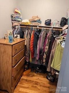 walk in closet featuring wood finished floors