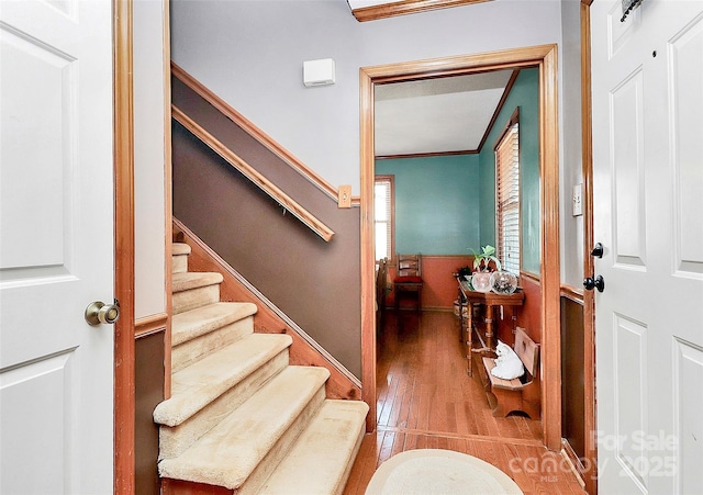 staircase with a wainscoted wall, crown molding, and wood finished floors