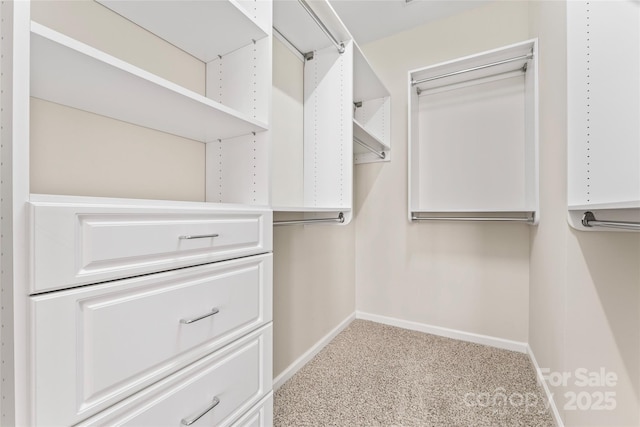 3104 Streamhaven Dr, Indian Land, SC 29707 - spacious closet with carpet flooring