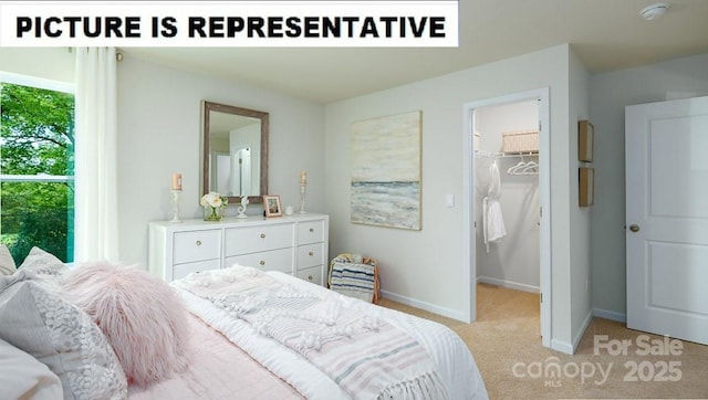 bedroom featuring a spacious closet, light colored carpet, baseboards, and a closet