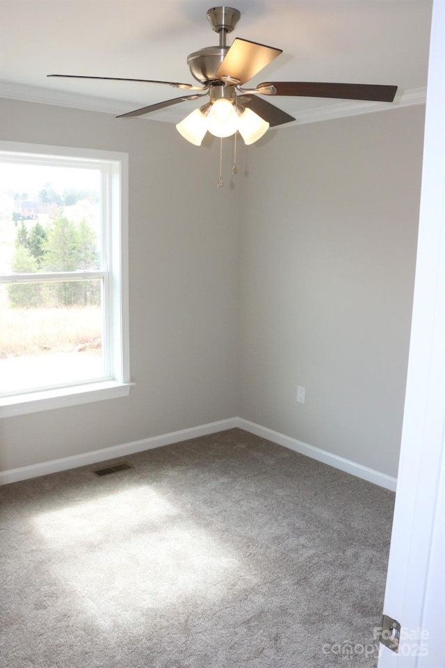 carpeted empty room with visible vents, baseboards, crown molding, and a ceiling fan