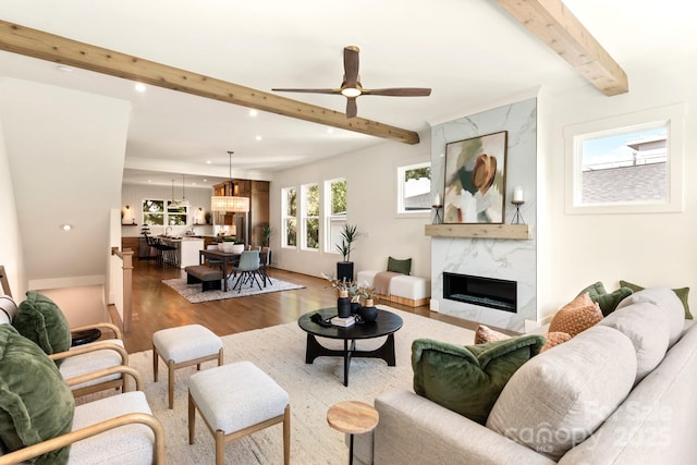 living room featuring beam ceiling, ceiling fan with notable chandelier, wood finished floors, recessed lighting, and a premium fireplace