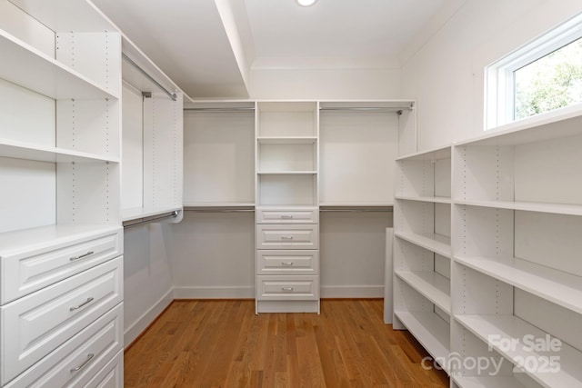 spacious closet with light wood-type flooring