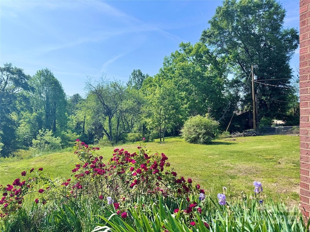 817 Dudley Shoals Rd, Granite Falls, NC 28630 - view of yard