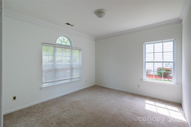 4036 Sawmill Trace Dr, Charlotte, NC 28213 - photo 6