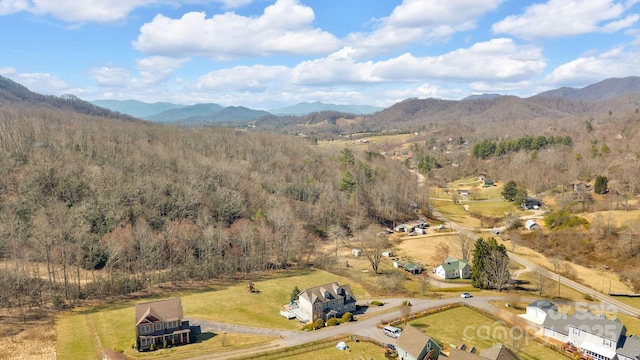 58 Mandalay Rdg, Canton, NC 28716 - photo 1