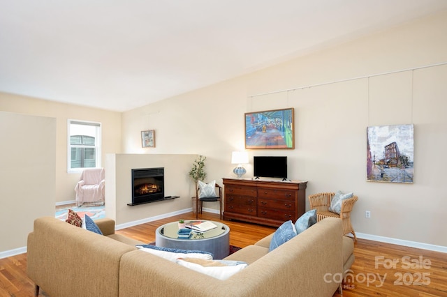 32 Broadway St Unit 330, Asheville, NC 28801 - living room featuring wood finished floors, a glass covered fireplace, and baseboards
