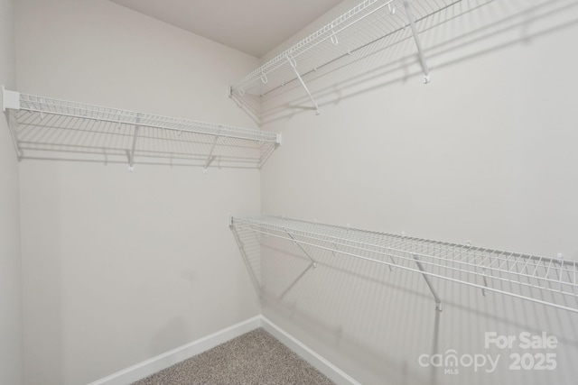 1305 31st St NE, Conover, NC 28613 - spacious closet featuring carpet