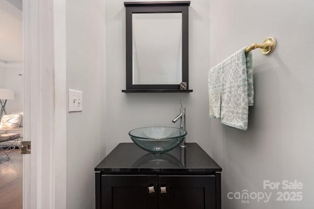 10802 Tradition View Dr, Charlotte, NC 28269 - bathroom with vanity