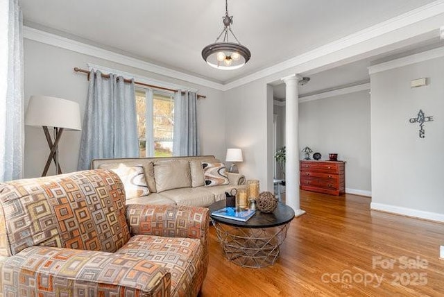 10802 Tradition View Dr, Charlotte, NC 28269 - living room with decorative columns, ornamental molding, and wood finished floors